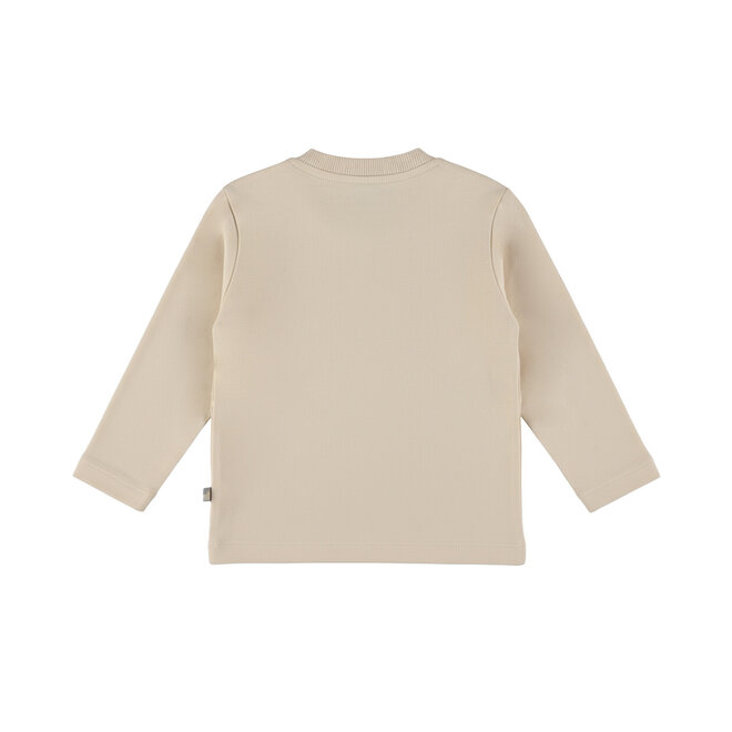 Dirkje jongens longsleeve beige dino pluche