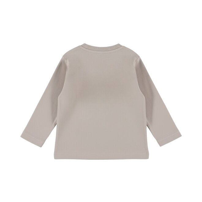 Dirkje Jungen-Langarmshirt, grau, mit Hundemotiv