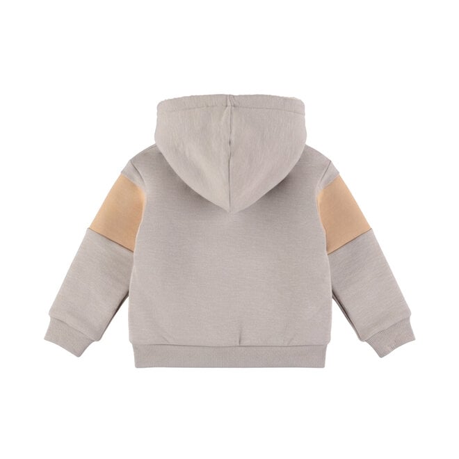Dirkje jongens vest grijs teddy