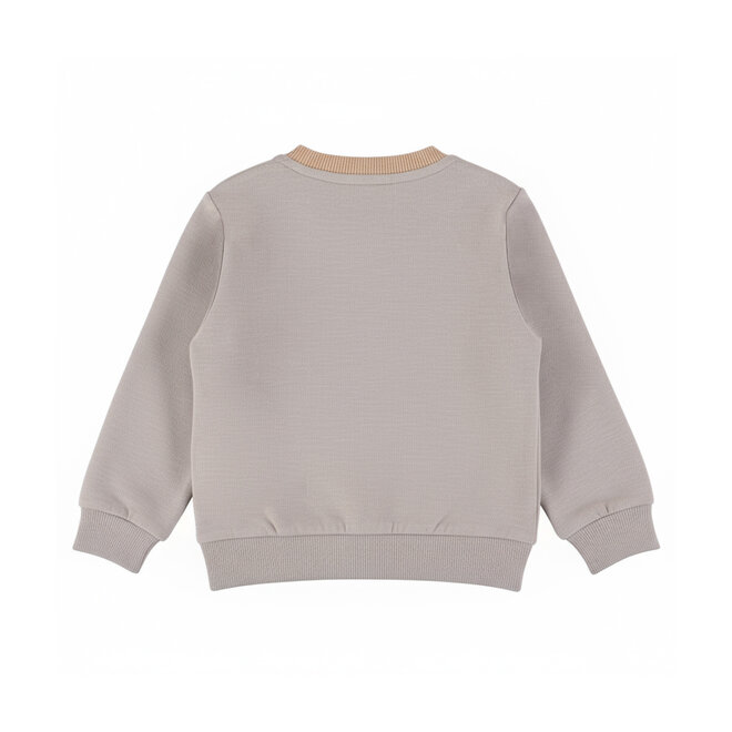 Dirkje jongens sweater grijs outdoors