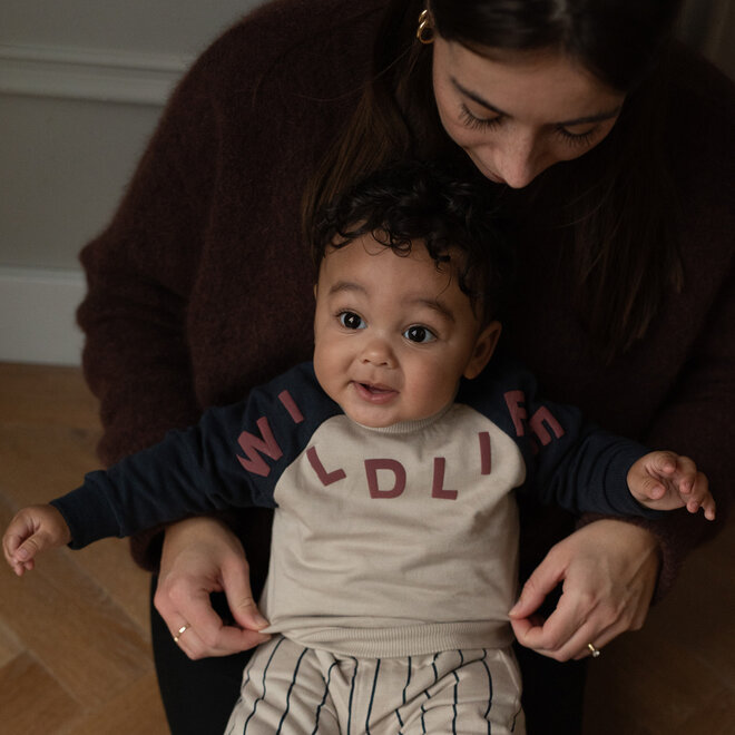 Dirkje Jungen-Set aus Pullover und Hose beige gestreift