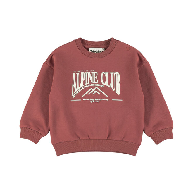 Dirkje Jungen-Sweatshirt in lockerer Passform rostbraun im Alpenstil