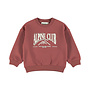 Dirkje boys’ loose-fit jumper, rust-brown, alpine