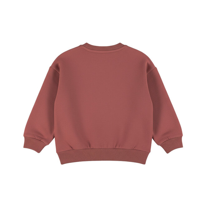 Dirkje boys’ loose-fit jumper, rust-brown, alpine