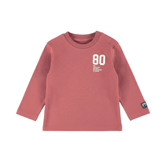 Dirkje jongens longsleeve roestbruin alpine