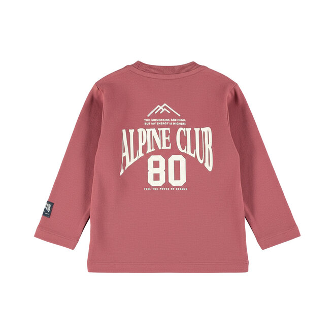 Dirkje Jungen-Langarmshirt rostbraun „Alpine“