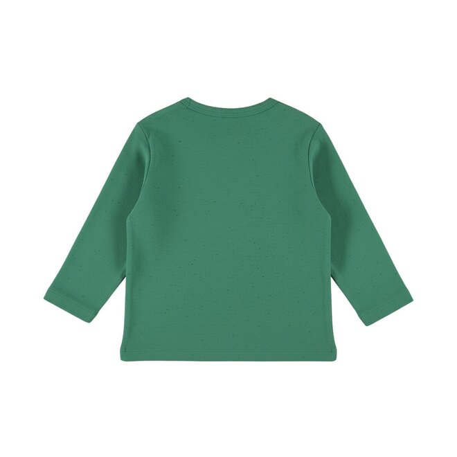 Dirkje jongens longsleeve groen skate