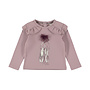 Dirkje meisjes longsleeve paars balletschoenen