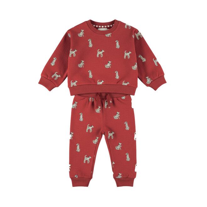 Dirkje meisjes set rood sweater broek hondjes