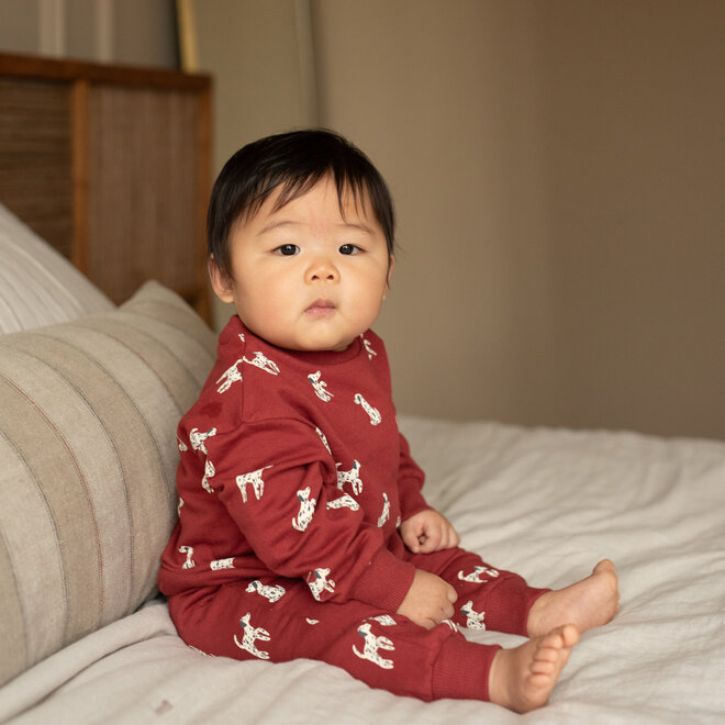 Dirkje meisjes set rood sweater broek hondjes