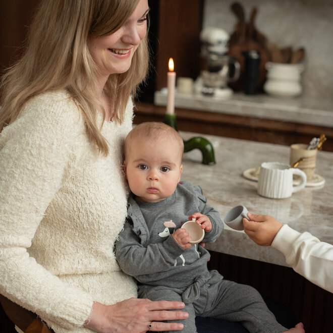 Dirkje girls’ jumper, grey, dog, ruffles