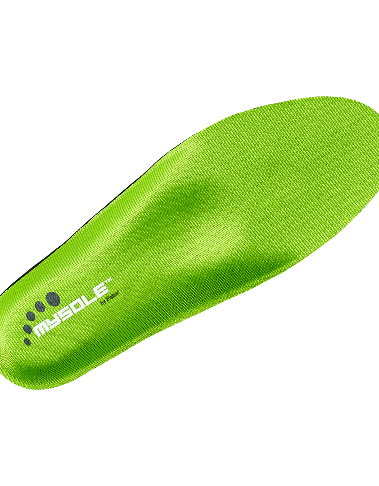 Mysole Mysole Anatomical