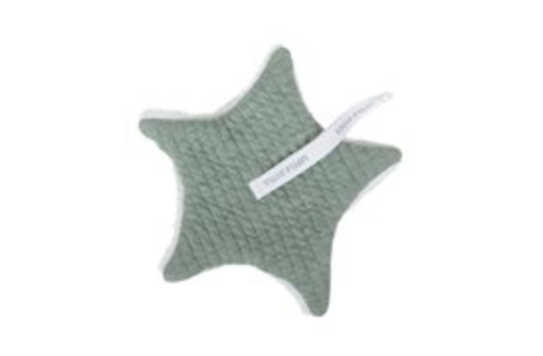 Speendoekje Pure Mint