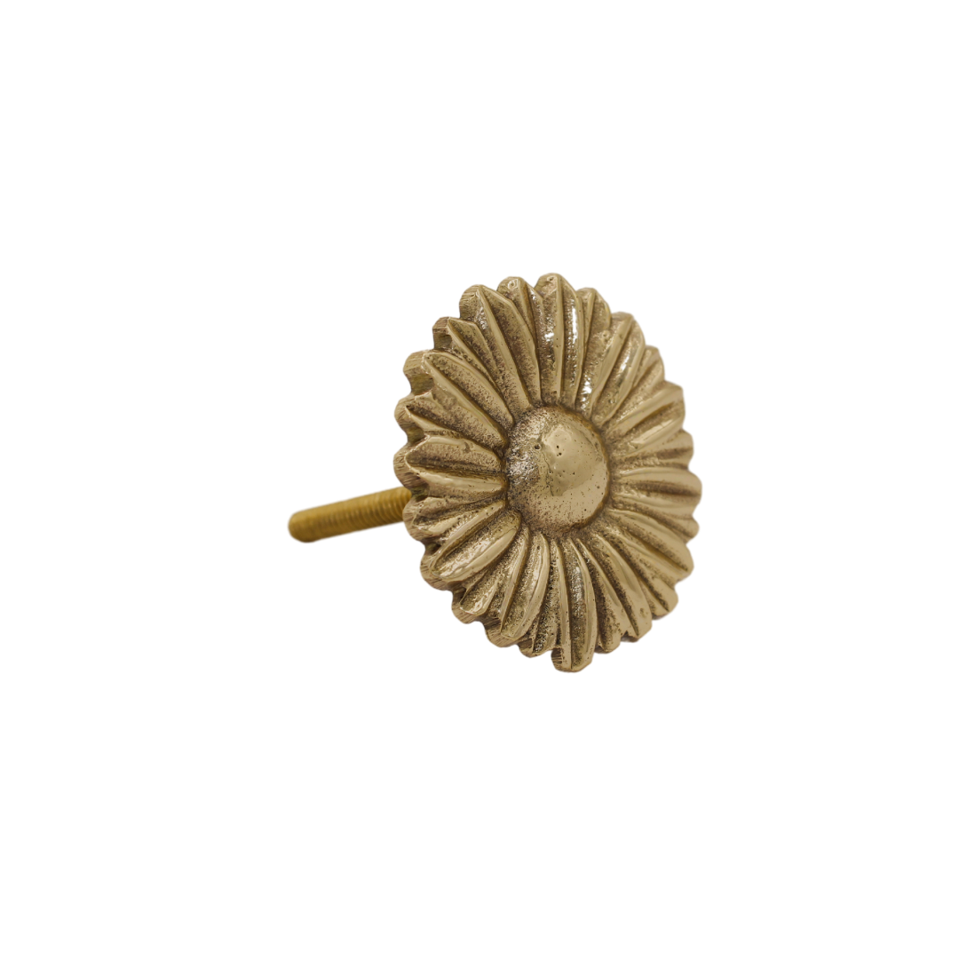 A LA Daisy knob