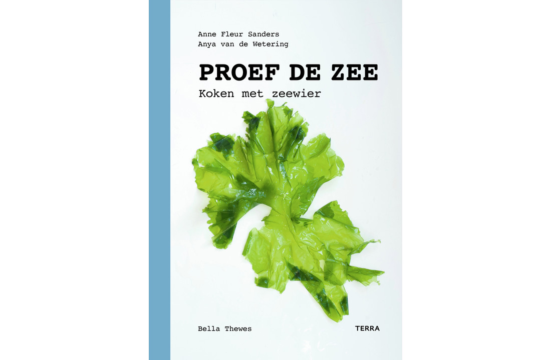 Proef de zee