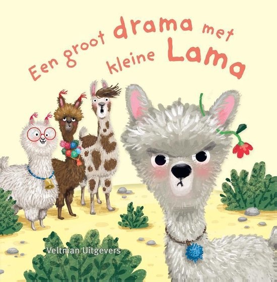 Een groot drama met kleine lama