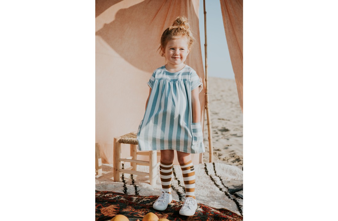 Sproet & Sprout Dress Denim Stripe