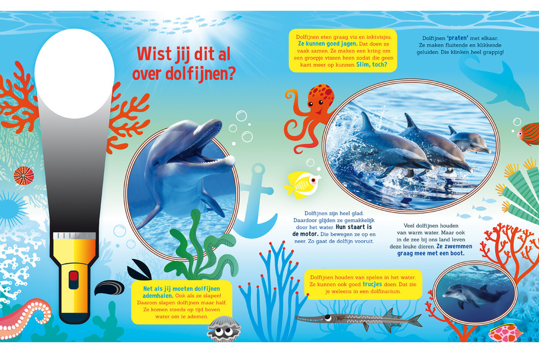 Spreuren naar dolfijnen