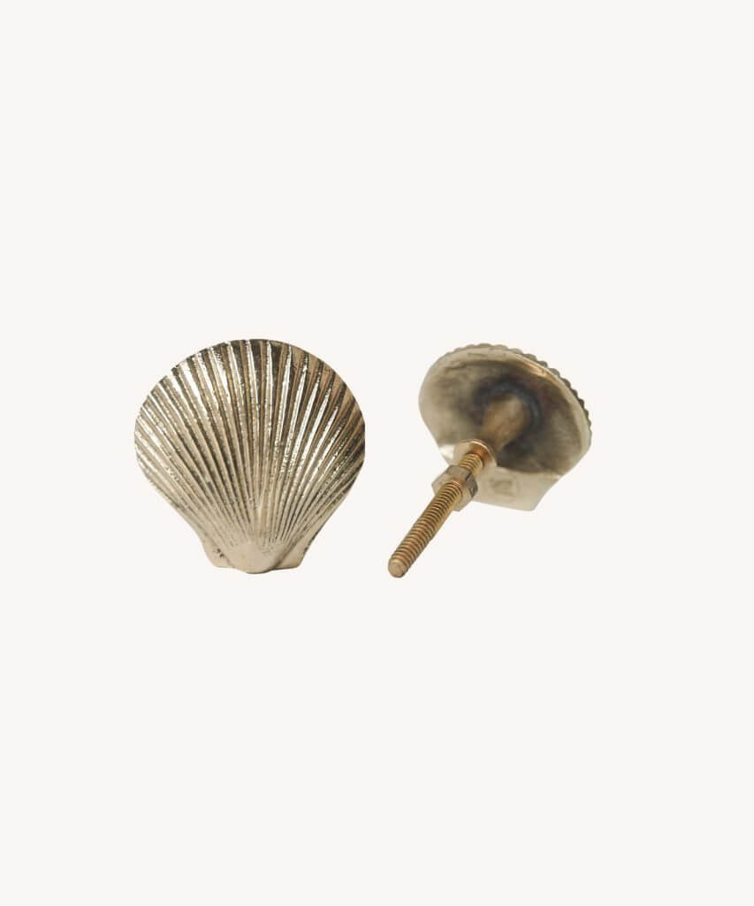 deurknop Schelp Abby Shell