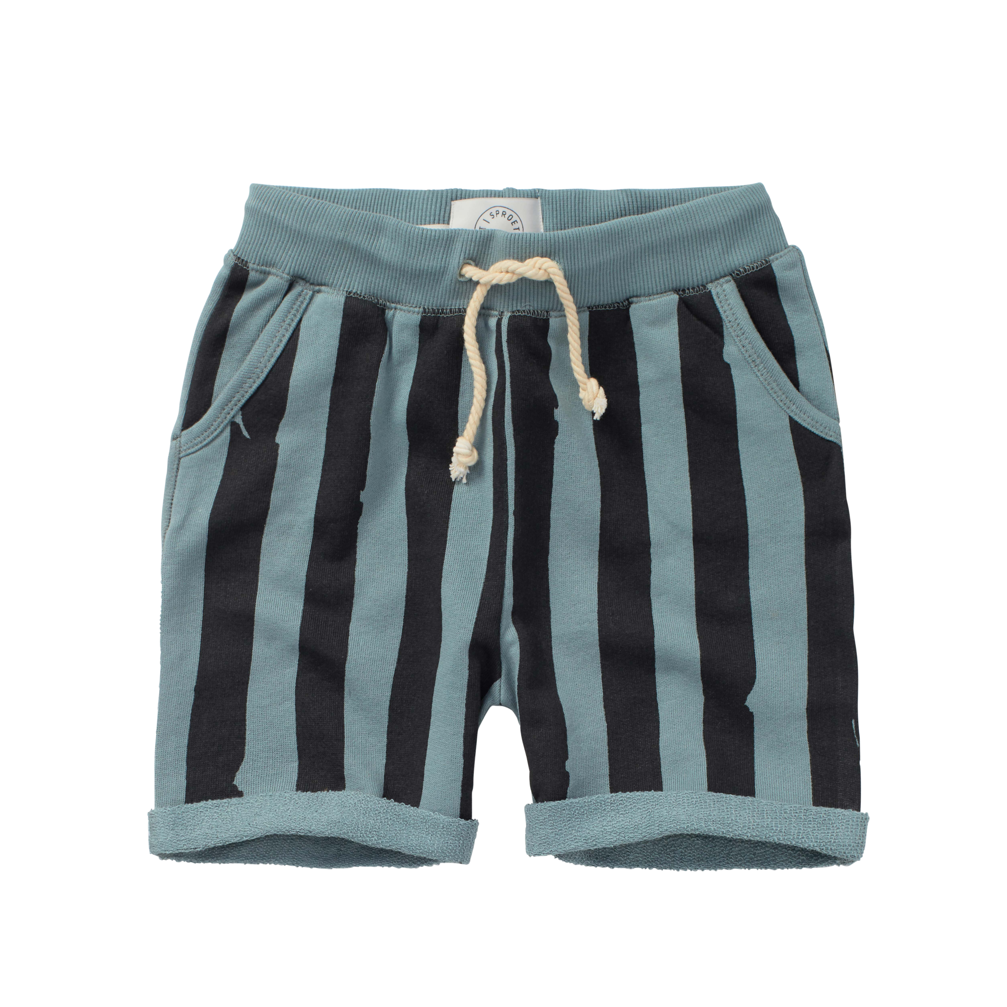 Shorts painted stripe
