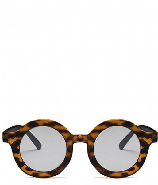 Sunglasses - Leopard