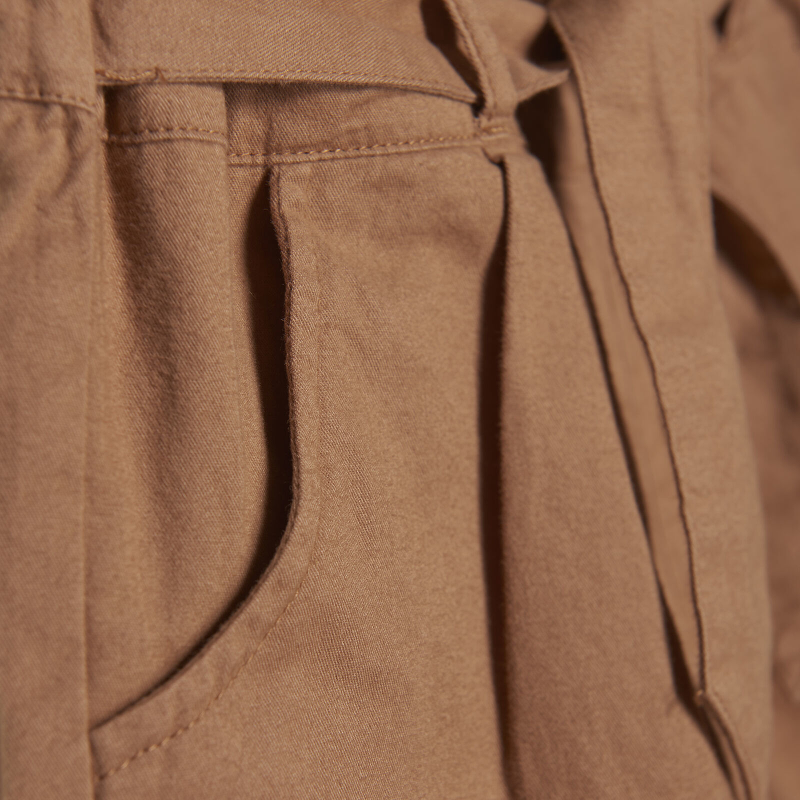 Shorts Woven Lion