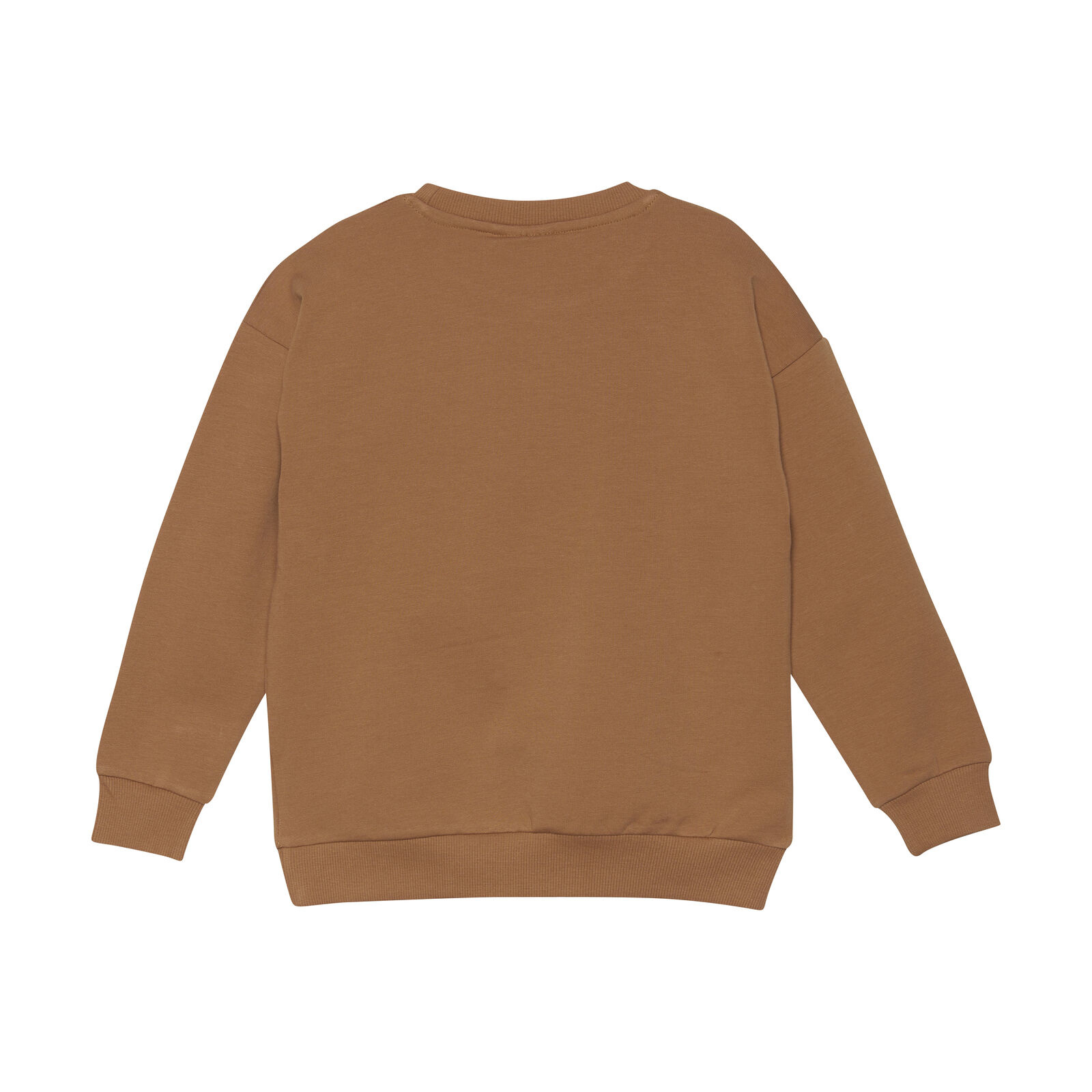 Sweatshirt LS Lion