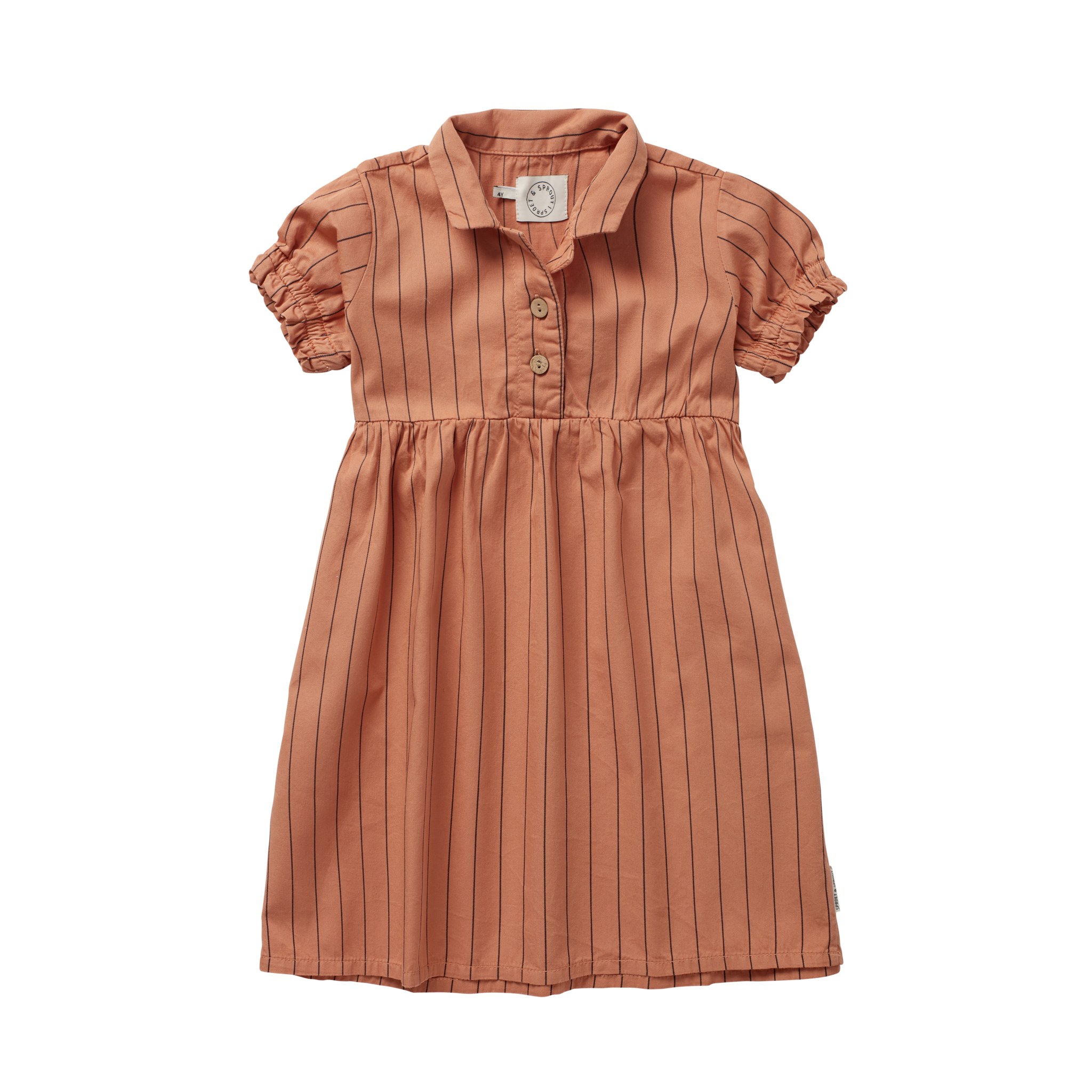 Collar dress tutti frutti stripe print