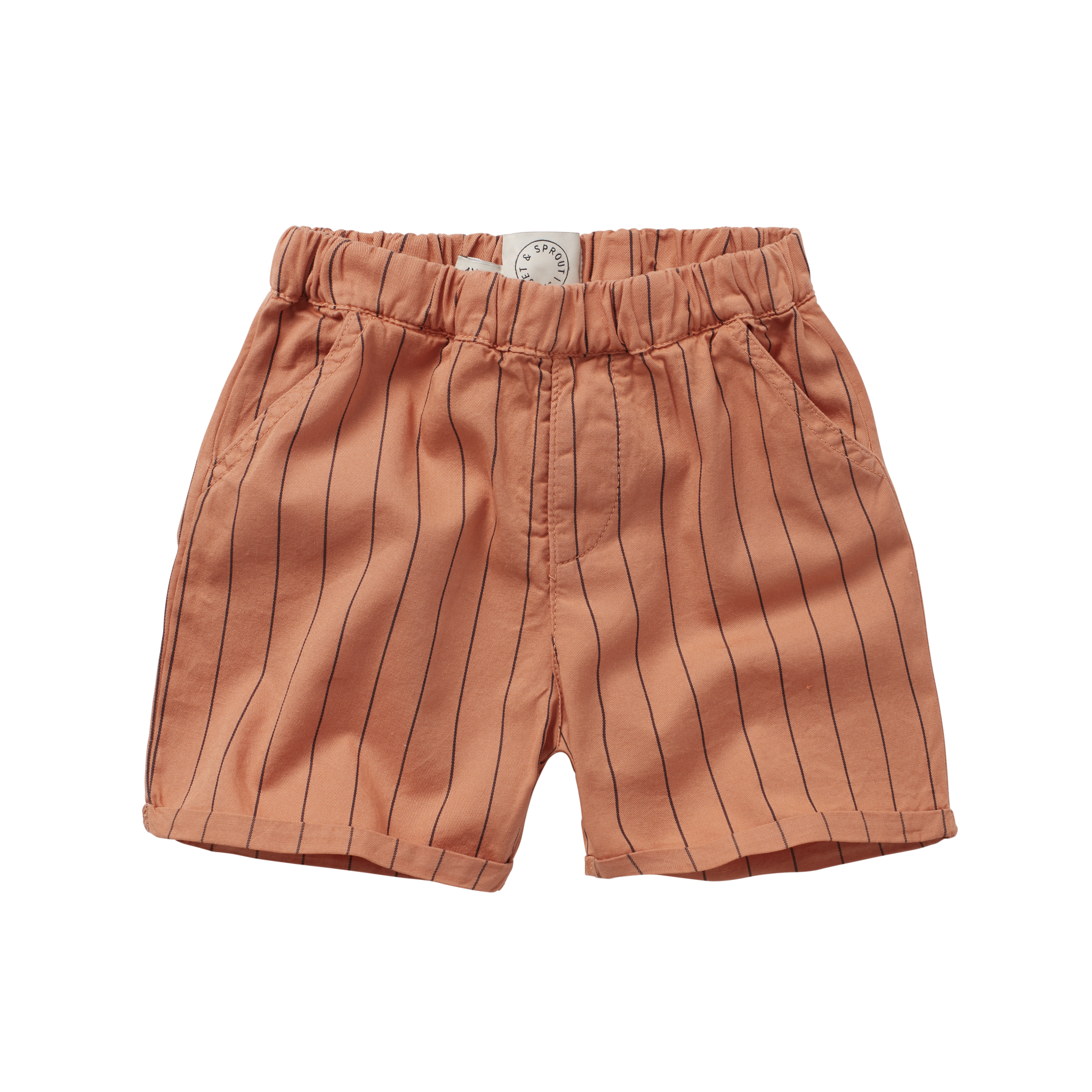 Woven shorts stripe print