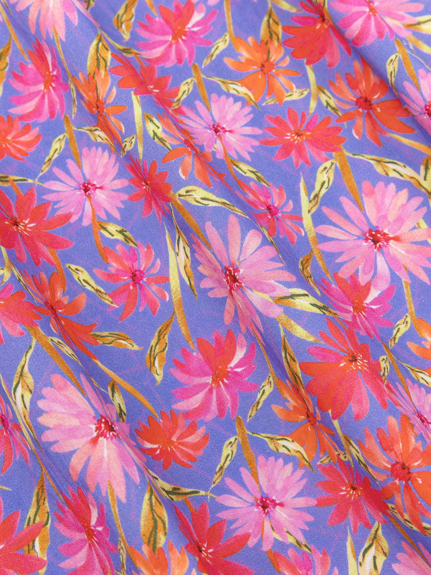 Top Pheli Blue flower