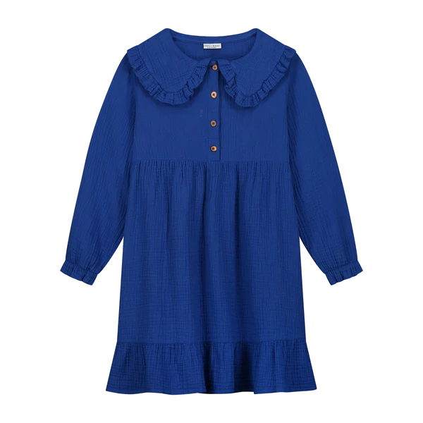 Fallon dress winter night