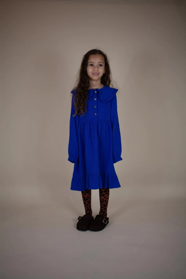 Fallon dress winter night
