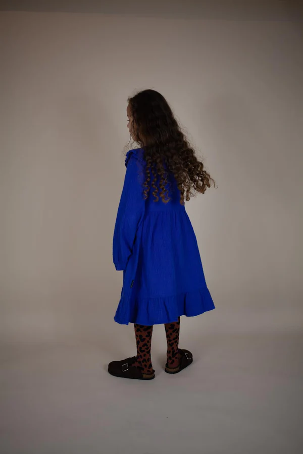 Fallon dress winter night