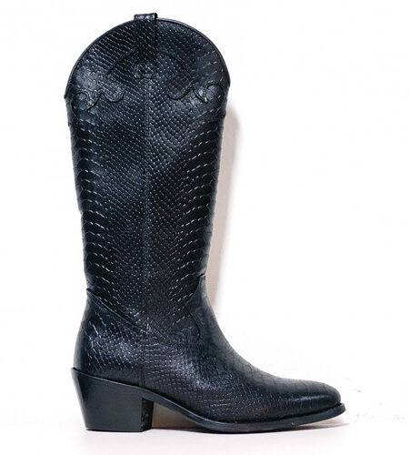 Boise Croco