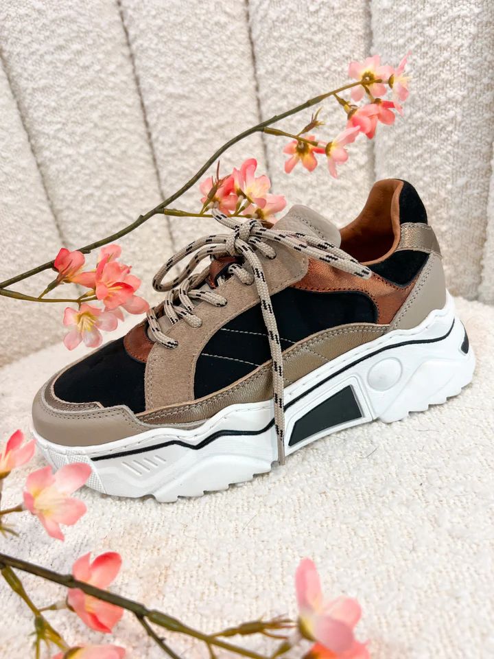 Venus Black/smoke