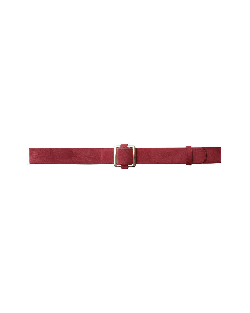 Letino Access Rose