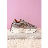 JUPITER Taupe/Stone