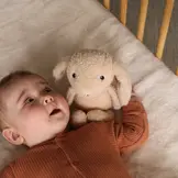 Milo Plush light