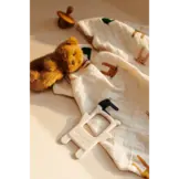 Jonathan Classic Teether 2-Pack Tuscany rose / Apple blossom