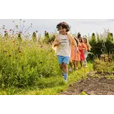 Terry T-shirt sorbet sunday Off-white