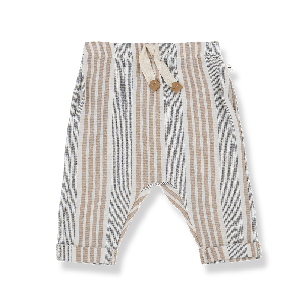 pants ROBERTO petroleum