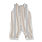 overall PIUS petroleum