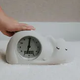 George - Sleep trainer