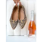 Port Vila Leer Leopard