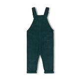 Dungaree Moss