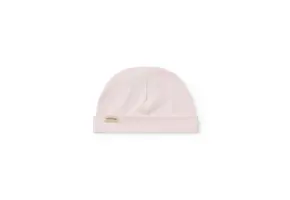 Modal New Born Aiko Rosa