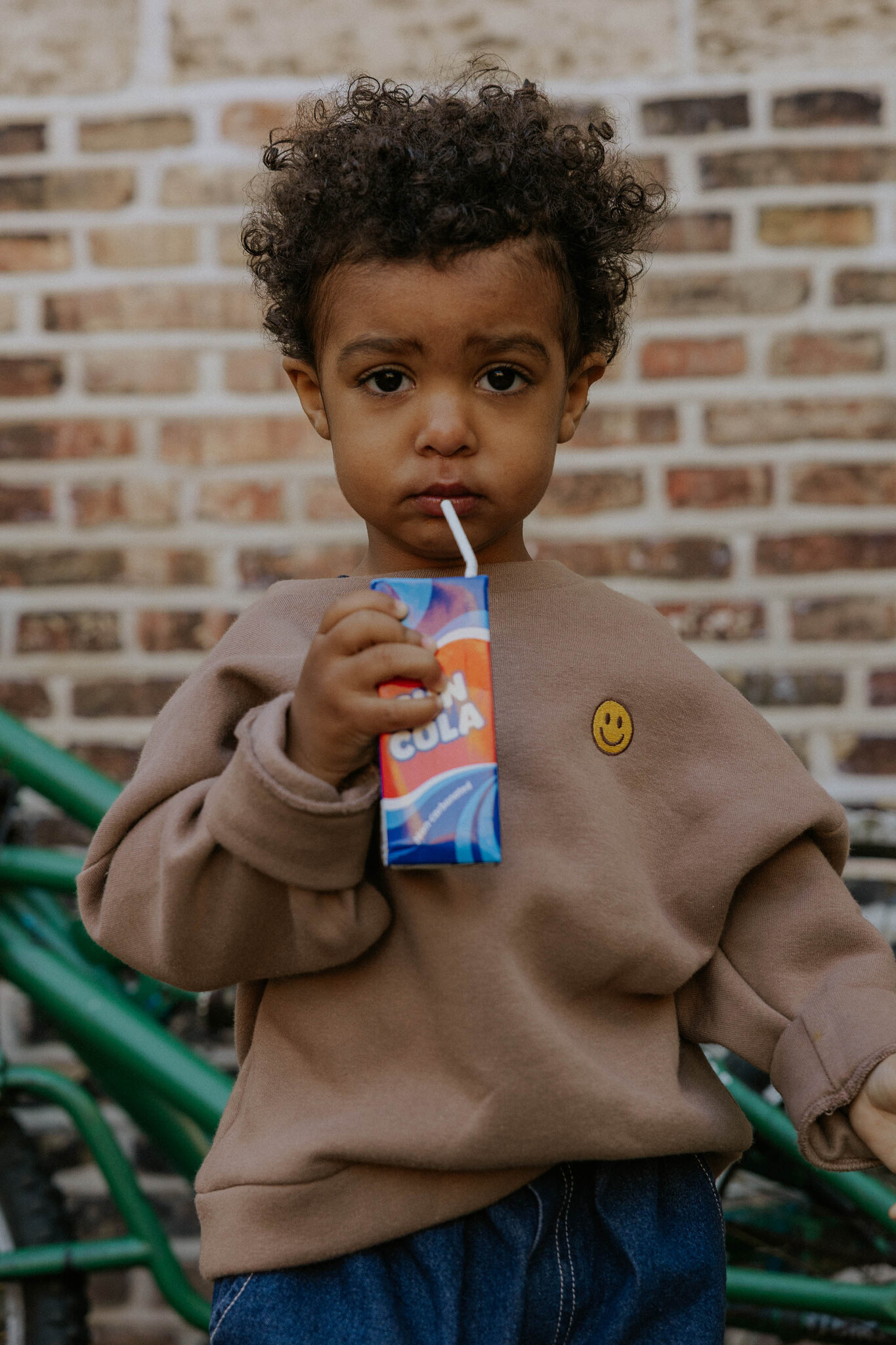 ALVIN LS SMILEY SWEATSHIRT/PINE BARK