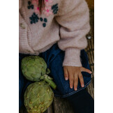 STAR ALPACA EMBROIDERED CARDIGAN/PEACH WHIP