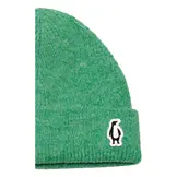 RED DRAGON beanie apple green