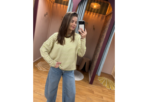 Suzan longsleeve sweat striped lichtgroen/roze